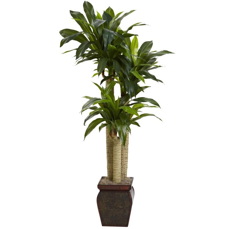 4.5' Cornstalk Draceana w/Vase (Real Touch)