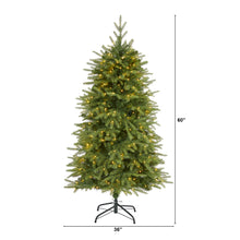 Load image into Gallery viewer, 5&#39; Vancouver Fir &#39;Natural Look&#39; Artificial Christmas Tree w/ 350 Clear LED Light
