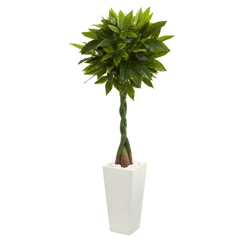 5.5' Money Artificial Tree in White Tower Planter (Real Touch)