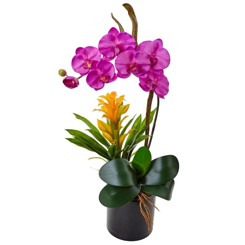 Orchid and Bromeliad in Glossy Black Cylinder