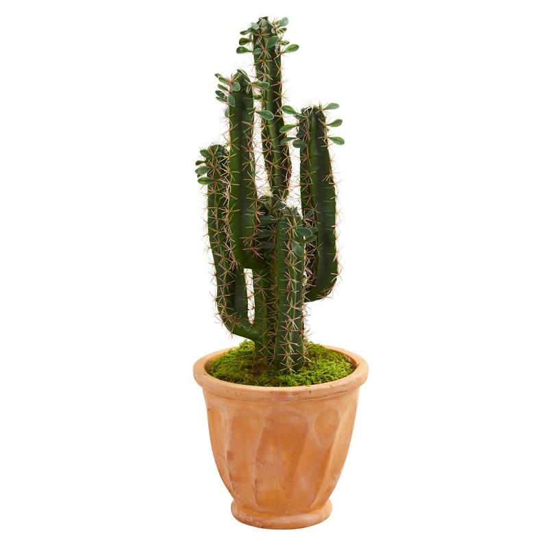 3' Cactus Artificial Plant in Terra Cotta Planter
