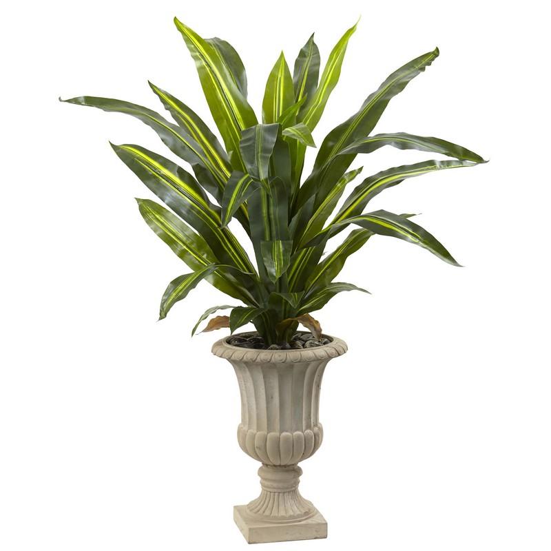 5' Dracaena Plant with Urn (Real Touch)