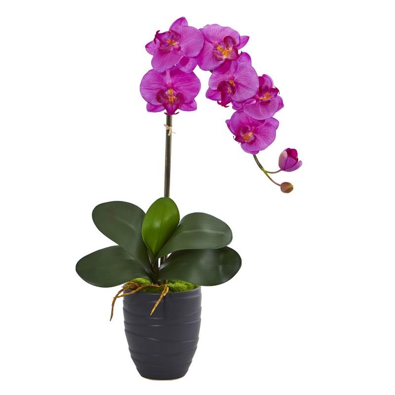 Phalaenopsis Orchid Artificial Arrangement in Black Vase