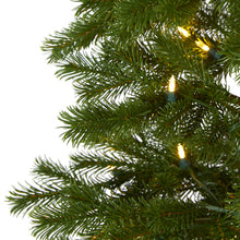 Load image into Gallery viewer, 6.5&#39; Big Sky Spruce Artificial Christmas Tree w/ 200 Clear Warm (Multifunction)

