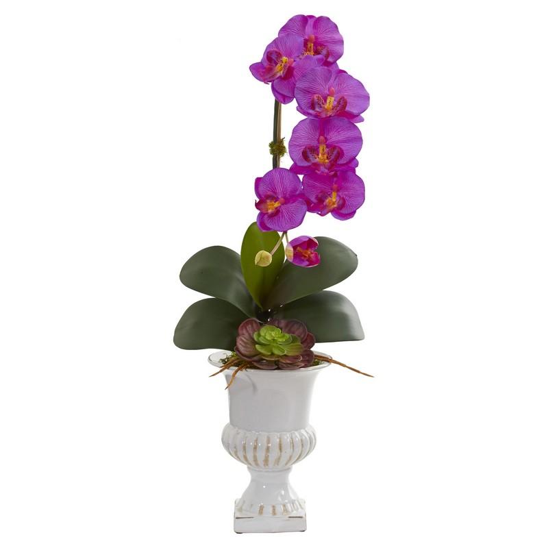 Phalaenopsis Orchid and Succulent Artificial Arrangement in Urn
