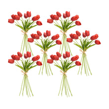 Load image into Gallery viewer, Spring Red Tulip Bundle (Set of 6)
