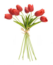 Load image into Gallery viewer, Spring Red Tulip Bundle (Set of 6)
