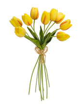 Load image into Gallery viewer, Spring Yellow Tulip Bundle (Set of 6)
