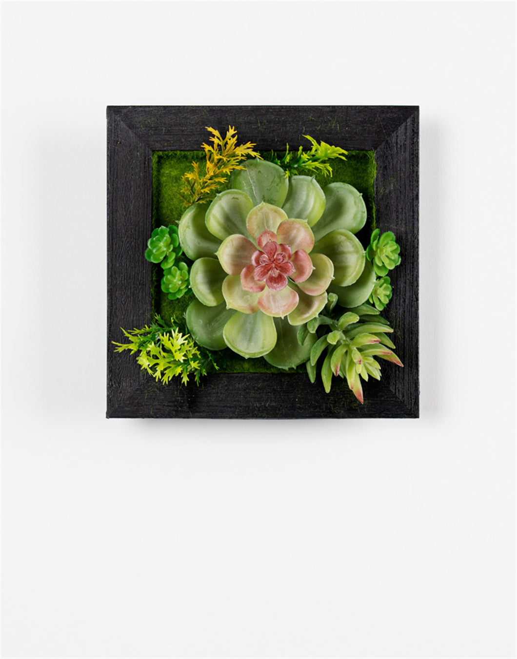 Hanging Succulent Box Wall DŽcor (Set of 6)