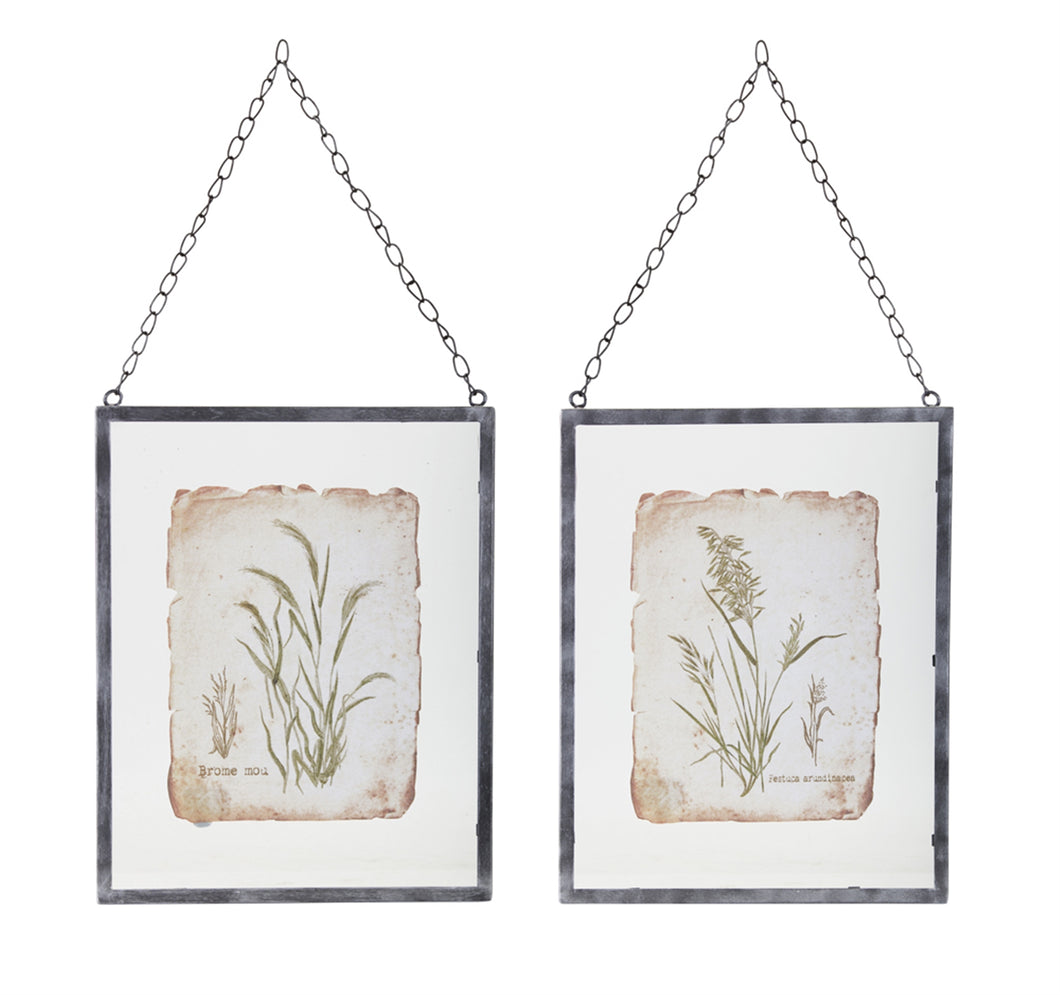 Metal Framed Grass Print Under Glass (Set of 2)