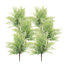 Load image into Gallery viewer, Maiden Hair Fern Bush (Set of 6)
