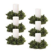 Load image into Gallery viewer, Eucalyptus Foliage Candle Ring (Set of 6)
