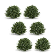 Load image into Gallery viewer, Spring Grass Half Orb (Set of 6)
