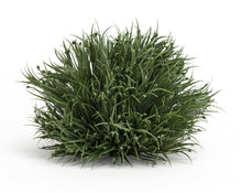 Load image into Gallery viewer, Spring Grass Half Orb (Set of 12)
