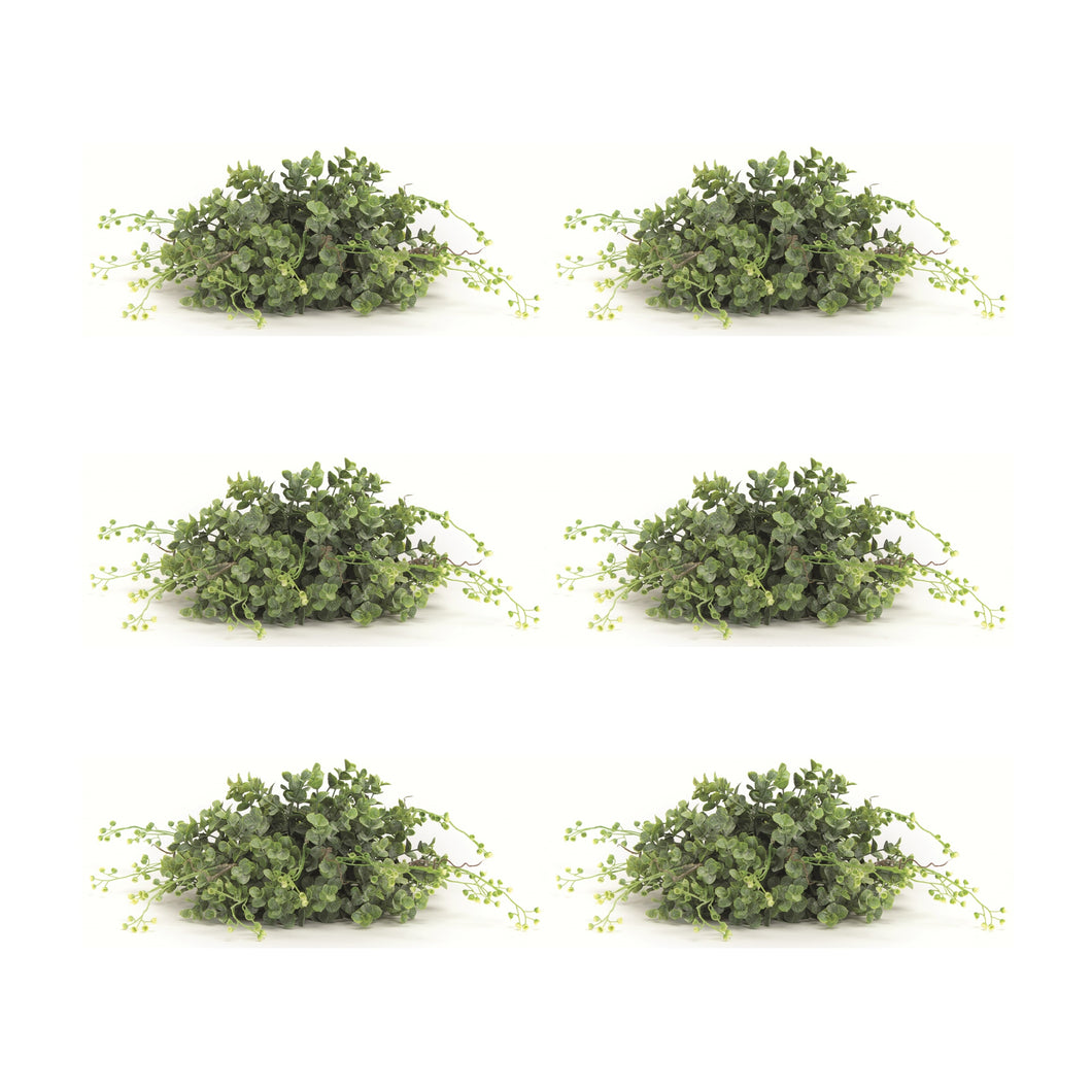 Spring Boxwood Foliage Half Orb (Set of 6)