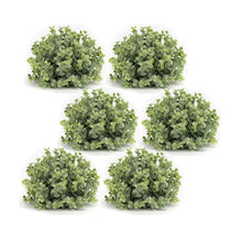 Load image into Gallery viewer, Spring Boxwood Foliage Half Orb (Set of 6)
