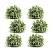 Load image into Gallery viewer, Spring Boxwood Foliage Half Orb (Set of 6)
