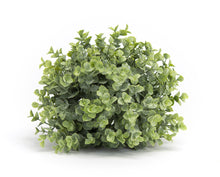 Load image into Gallery viewer, Spring Boxwood Foliage Half Orb (Set of 6)
