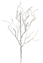 Load image into Gallery viewer, Silver Twig Branch (Set of 6)
