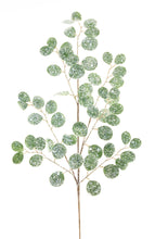 Load image into Gallery viewer, Frosted Silver Dollar Eucalyptus Spray (Set of 12)
