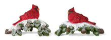Load image into Gallery viewer, Perched Cardinal Bird on Snowy Pine Branch (Set of 4)
