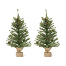 Load image into Gallery viewer, Mini Pine Tree with Burlap Bag Base and Pinecone Accents (Set of 2)
