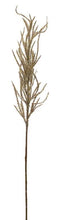 Load image into Gallery viewer, Flocked Beige Pampas Grass Spray (Set of 4)

