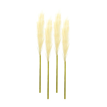 Load image into Gallery viewer, Cream Pampas Gass Stem (Set of 4)
