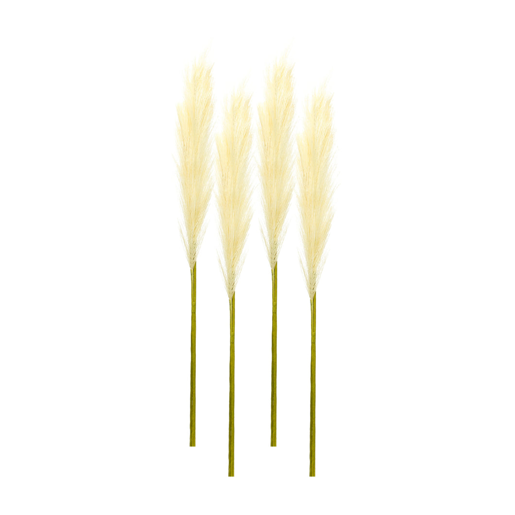 Cream Pampas Gass Stem (Set of 4)