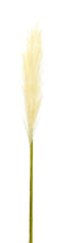 Load image into Gallery viewer, Cream Pampas Gass Stem (Set of 4)

