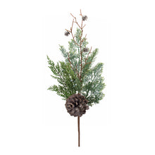 Load image into Gallery viewer, Juniper and Pine Cone Spray (Set of 6)
