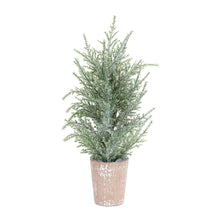 Load image into Gallery viewer, Frosted Holiday Pine Tree in Paper Pot (Set of 4)
