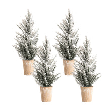 Load image into Gallery viewer, Flocked Holiday Pine Tree with Plastic Pot (Set of 4)
