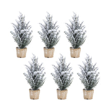 Load image into Gallery viewer, Flocked Holiday Pine Tree with Plastic Pot (Set of 6)
