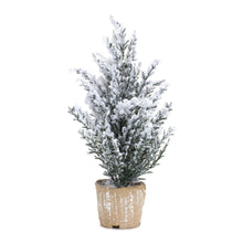Load image into Gallery viewer, Flocked Holiday Pine Tree with Plastic Pot (Set of 6)
