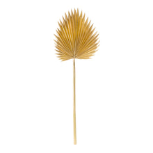 Load image into Gallery viewer, Natural Gold Fan Palm Leaf (Set of 6)
