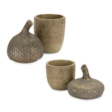 Load image into Gallery viewer, Acorn Lid Box with Wood Grain Design (Set of 2)
