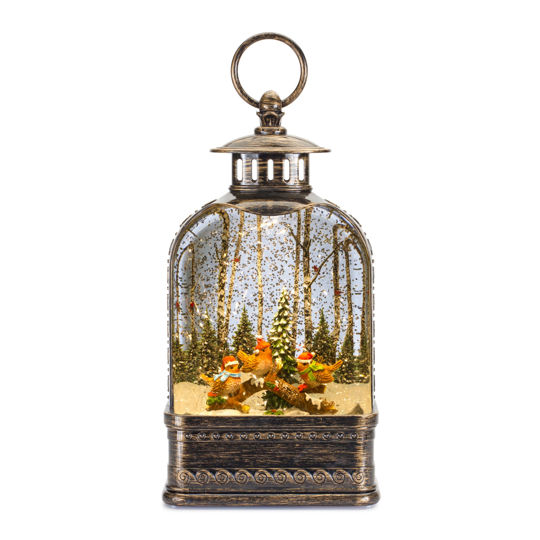 LED Snow Globe Lantern with Winter Bird Scene 11