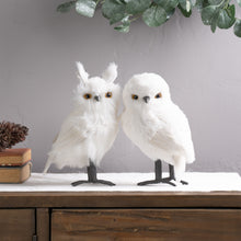 Load image into Gallery viewer, White Winter Owl Foam Decoration (Set of 4)
