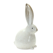 Load image into Gallery viewer, Rustic Terra Cotta Bunny Figurine (Set of 2)
