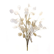 Load image into Gallery viewer, Ivory Silver Dollar Eucalyptus Spray (Set of 2)
