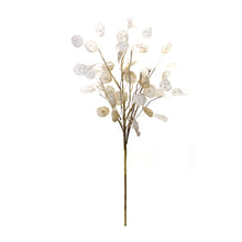 Load image into Gallery viewer, Ivory Silver Dollar Eucalyptus Spray (Set of 2)
