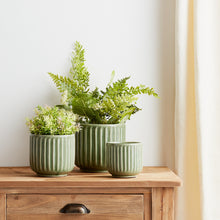 Load image into Gallery viewer, Green Ribbed Terra Cotta Pot Planter (Set of 3)

