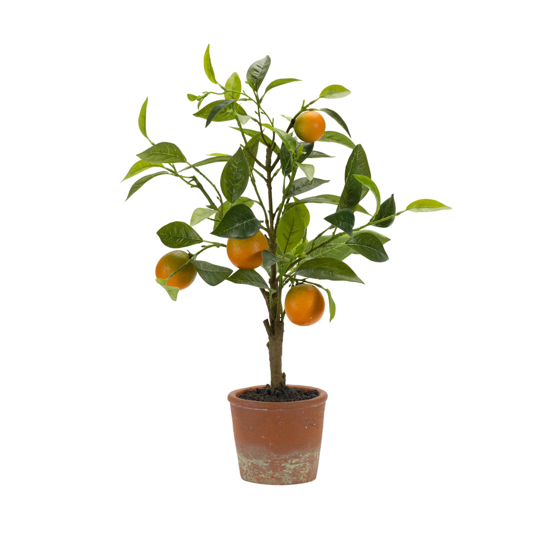 Orange Fruit Silk Tree with Terra Cotta Style Pot 21.5