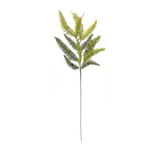 Load image into Gallery viewer, Varigated Fern Foliage Spray (Set of 6)
