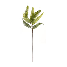 Load image into Gallery viewer, Varigated Fern Foliage Spray (Set of 6)

