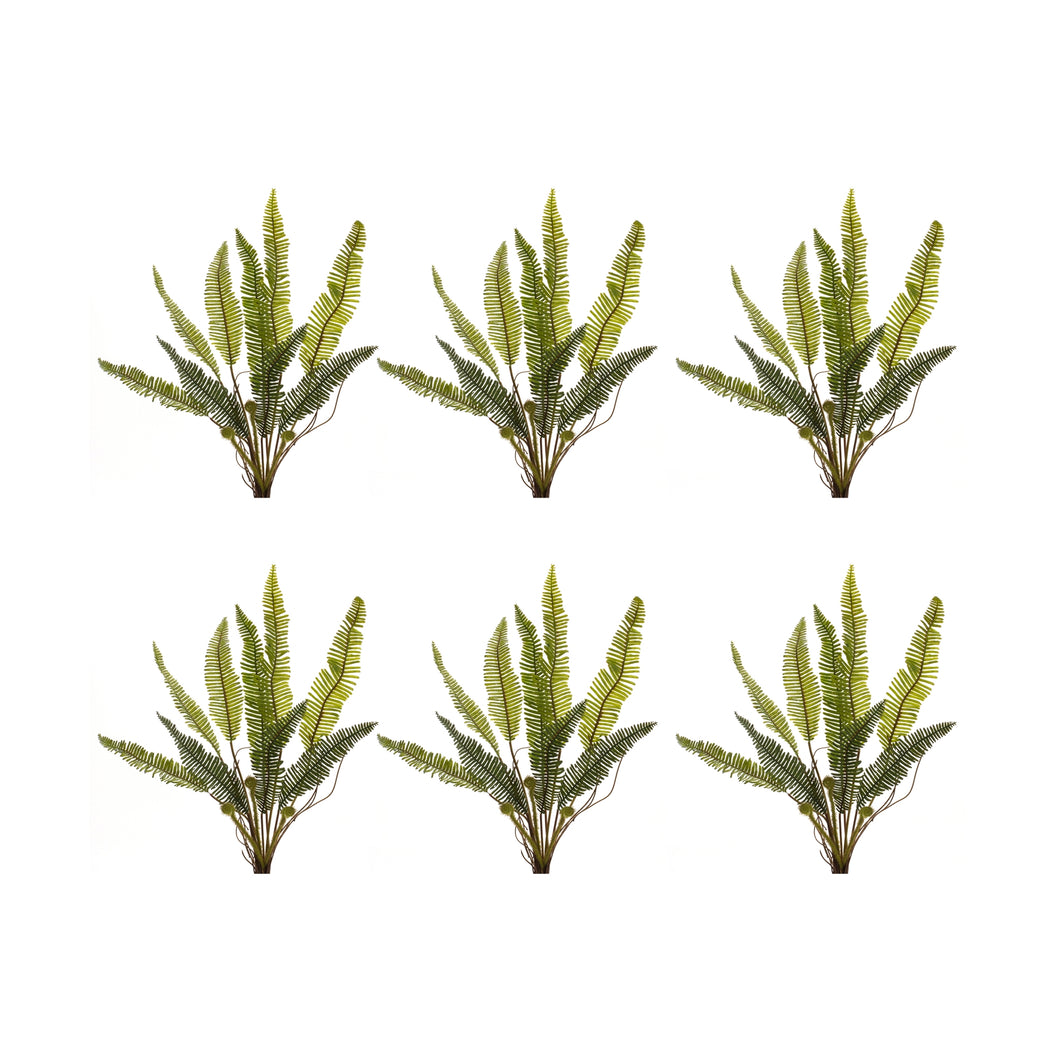 Varigated Fern Foliage Bush (Set of 6)