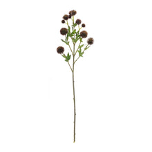 Load image into Gallery viewer, Brown Allium Floral Spray (Set of 6)

