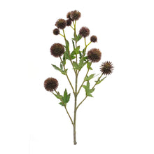 Load image into Gallery viewer, Brown Allium Floral Spray (Set of 6)
