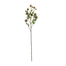 Load image into Gallery viewer, Sage Allium Floral Spray (Set of 6)
